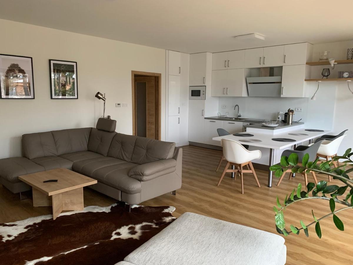 Lipno Port Apartment C101 Lipno nad Vltavou Luaran gambar